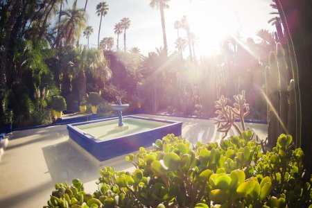 Jardin Majorelle